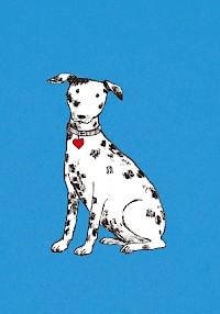 Best Friend