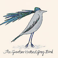 The Greater Hatted Grey Bird