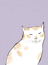 Purr