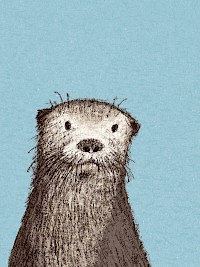 Otter (detail)