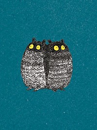 Timorous Owls