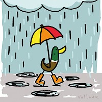 Nice Weather For Ducks