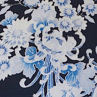Blue Kimono