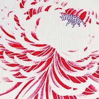Chrysanthemum