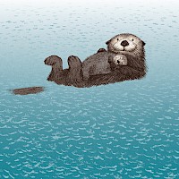 Sea Otter And Pup