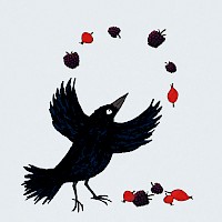 Clever Crow