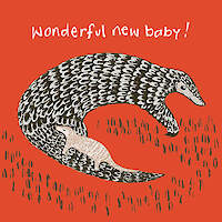 Wonderful New Pangolin