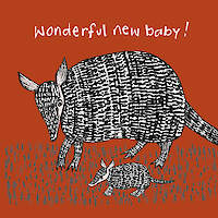 Wonderful New Armadillo