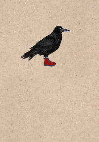 Rook's Look