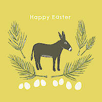 Little Donkey
