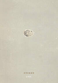Cuckoo Egg