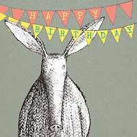 Aardvark's Birthday