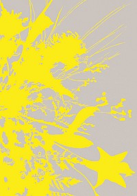 Silver Yellow